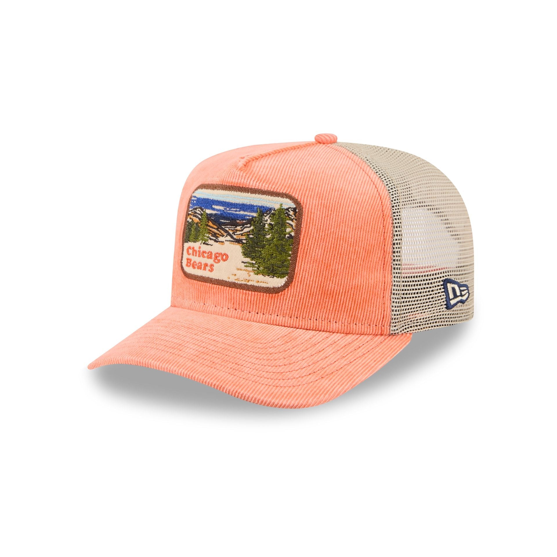 Chicago Bears Vintage Landscape 9FIFTY A-Frame Trucker Hat
