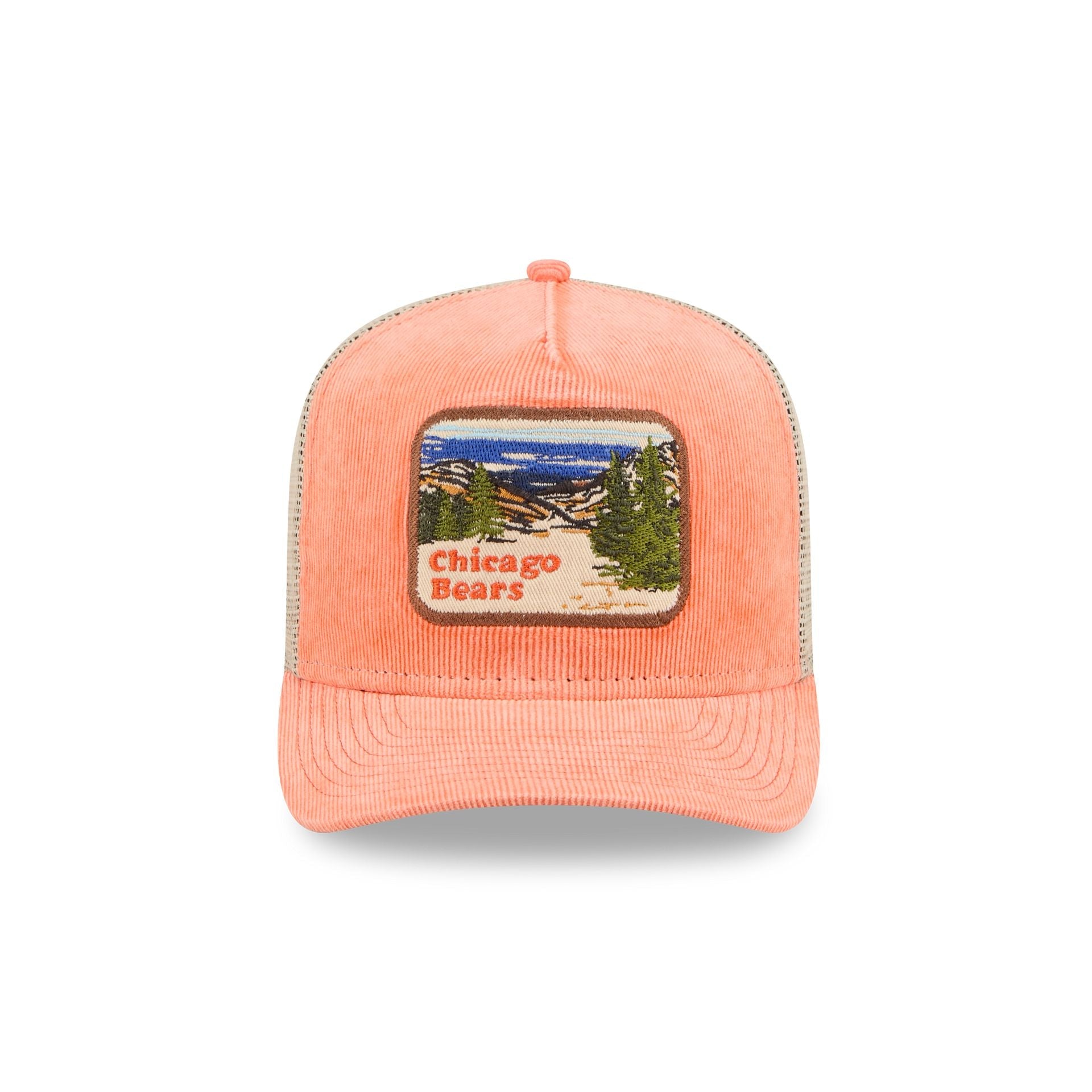 Chicago Bears Vintage Landscape 9FIFTY A-Frame Trucker Hat